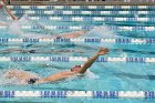 Swimming & Diving vs RWU  Swimming & Diving vs Roger Williams University. - Photo by Keith Nordstrom : Wheaton, Swimming